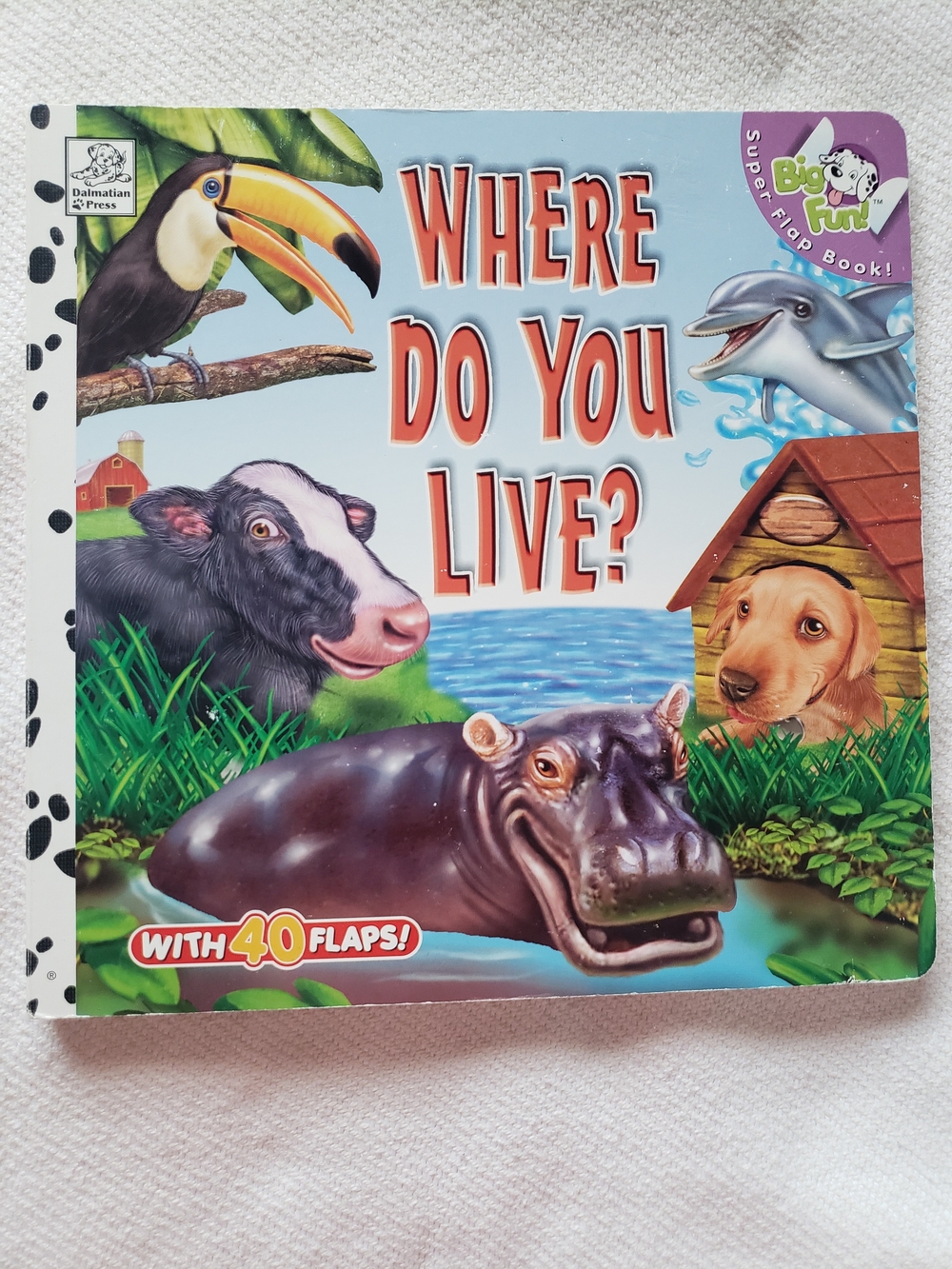 Where Do You Live? Lift A Flap Board Book